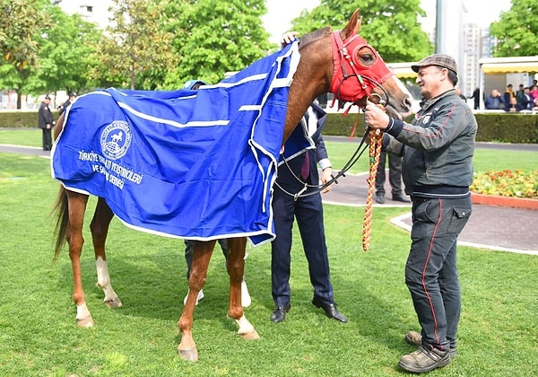 7. Padokta atları ve jokeyleri izlemenin keyfi hiçbir yerde yoktur.