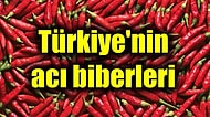 Aralarında Dünyanın En Acı Biberlerinden Biri Var: İşte Türkiye'nin Yerli ve Milli Acı Biberleri