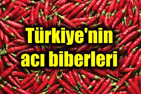 Aralarında Dünyanın En Acı Biberlerinden Biri Var: İşte Türkiye'nin Yerli ve Milli Acı Biberleri