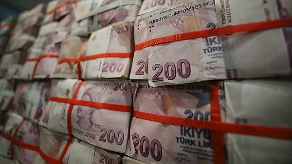 Kamu bankaları ve kurumlarına sermaye desteği verilmesi artan kamu yükü nedeniyle oluşuyor.