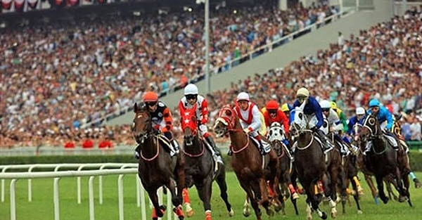 Türkiye'deki yarışların en büyüğü olan Gazi Koşusu hangi hipodromda düzenlenir?