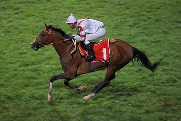 Türk at yarışları tarihinde en fazla sayıda birincilik kazanan atın adı nedir? (65 kez)