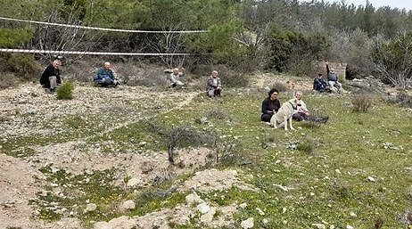 Yurttaşlar Direniyor: İkizköy'de Santral İçin Zeytin Ağaçları Sökülüyor