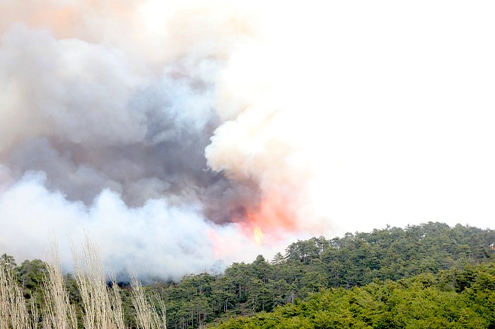 Sezon Açıldı: Bursa, Çanakkale ve Muğla'da Peş Peşe Orman Yangınları!