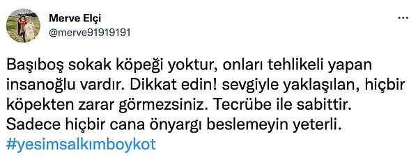 Tabii bu söylemin ardından epey bir tepki çeken Yeşim Salkım'a boykot çağrısı yapılmış ve pek çok kişi Salkım'ı eleştirmişti.