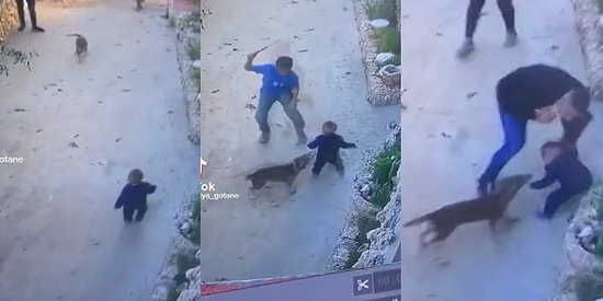 Sokakta Oyun Oynayan Küçük Çocuğu, Kendisine Doğru Koşan Köpekten Çevredeki Vatandaşlar Kurtardı