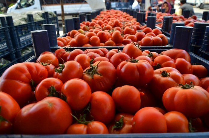 Bahar Geldi Ama İndirim Gelmeyecek: Hallerde Domatesin Fiyatı Yüzde 191 Arttı