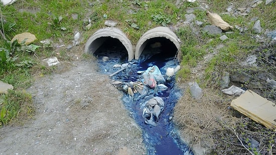 Hayvanların Öldüğü İddia Edildi: Alibeyköy Barajına Dökülen Derelerden Zehir Akıyor