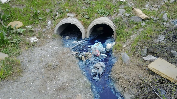 Hayvanların Öldüğü İddia Edildi: Alibeyköy Barajına Dökülen Derelerden Zehir Akıyor