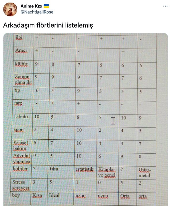 Twitter'da @NachtigallRose adlı bir kullanıcı arkadaşının flörtleri için hazırladığı tabloyu paylaşınca,