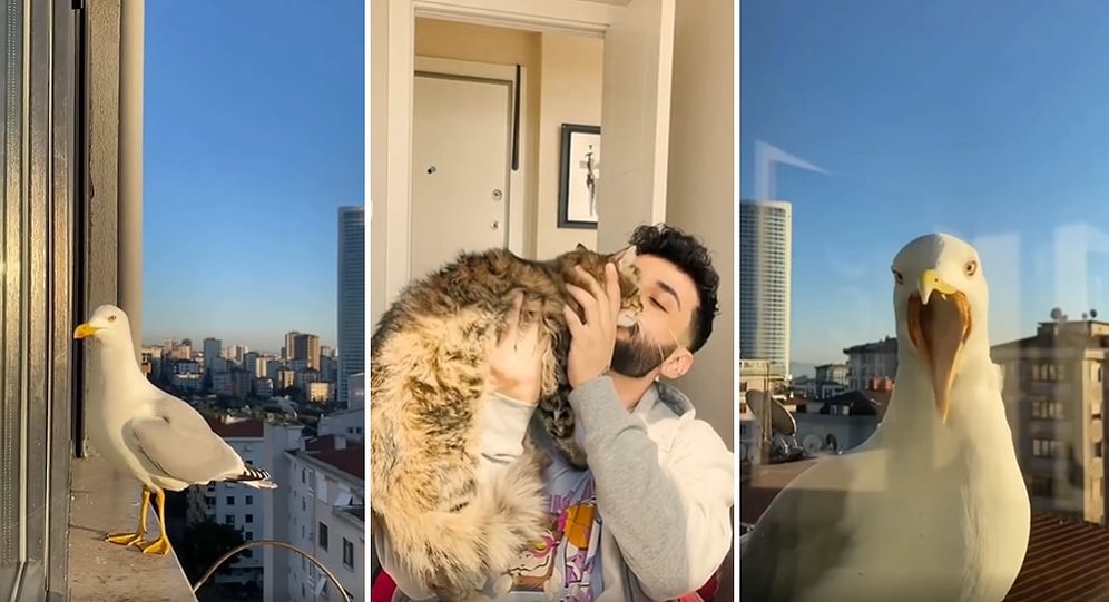 Ogün Alibaş ve Evcil Martısı B*tch'ten Melek Subaşı Atasözü: 'Şerefsiz İnsan Her Şeyi Yapabilir'