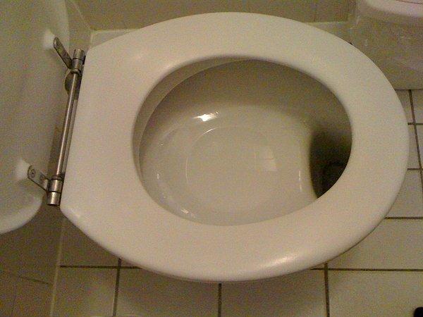 15. "Hollanda'da gördüğüm klozetler çok ilginçti. Büyük tuvaletinizi yaptıktan sonra kontrol edebilmeniz için bu şekilde tasarlandığını söylediler bana."