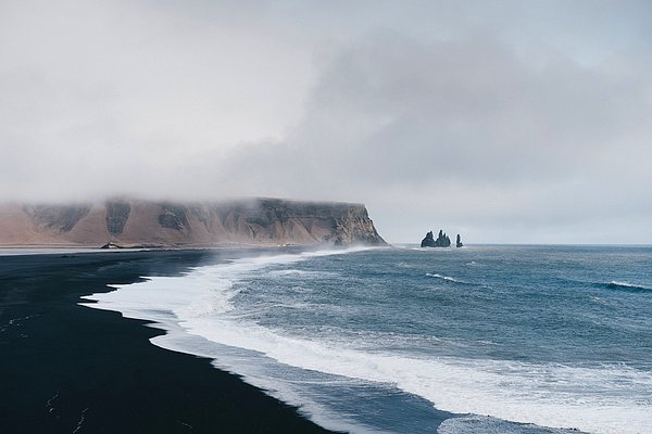 7. İzlanda'da insan yerleşiminden önce yaşayan tek kara memelisi kutup tilkileriydi.