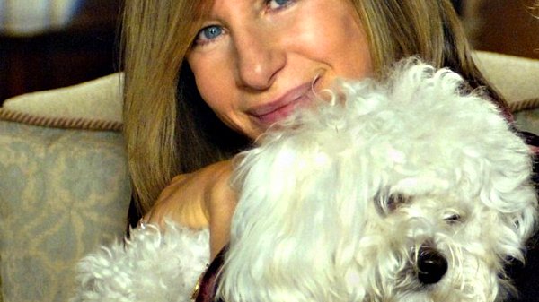Dünyaca ünlü şarkıcı Barbra Streisand 2018'de evcil hayvanı Samantha'dan iki yavru klonlatmak için Viagen'i kullandığını açıklamıştı.