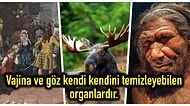 Kültürel Bilgi Hazinesinde Boğularak Öğrendiğiniz Anda Aydınlanacağınız Birbirinden Eşsiz Gerçekler
