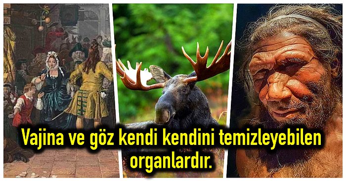 Kültürel Bilgi Hazinesinde Boğularak Öğrendiğiniz Anda Aydınlanacağınız Birbirinden Eşsiz Gerçekler