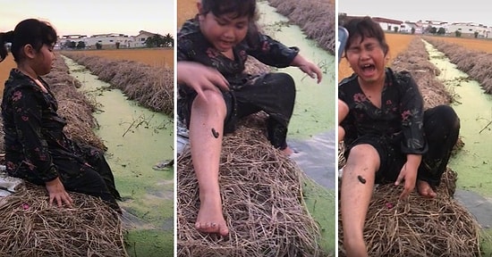 Fotoğraf Çekeceğinize Kurtarsanıza! Pis Suya Soktuğu Ayağına Sülük Yapışan Kızın Çığlık Çığlığa Kaldığı Anlar