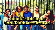 Anatomik Özelliklerine Göre Genetik Kökenin Nereye Dayanıyor?