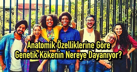 Anatomik Özelliklerine Göre Genetik Kökenin Nereye Dayanıyor?