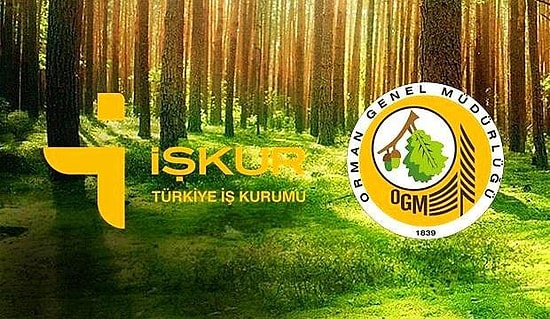 2022 Orman Genel Müdürlüğü İŞKUR İşçi Alımı Ne Zaman Yapılacak? OGM İşçi Alımı Başvuru Tarihleri
