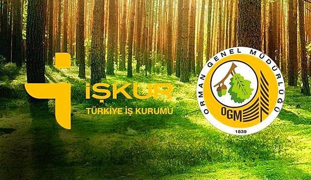 2022 Orman Genel Müdürlüğü İŞKUR İşçi Alımı Ne Zaman Yapılacak? OGM İşçi Alımı Başvuru Tarihleri