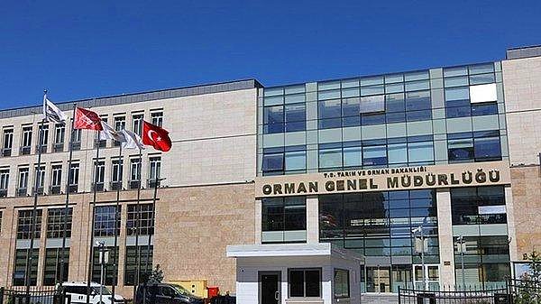 2022 OGM İşçi Alımı Başvuru Şartları Nelerdir?