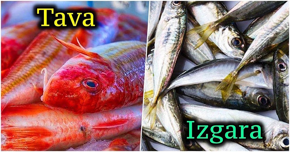 Izgara mı, Buğulama mı? Hangi Balık Nasıl Pişirilirse Daha Güzel Olur Açıklıyoruz!