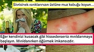 Kulağa Saçma Gelse de Öğrendiğinizde Bilgi Dağarcığınızı İkiye Katlayıp Hayatınızı Kolaylaştıracak Bilgiler
