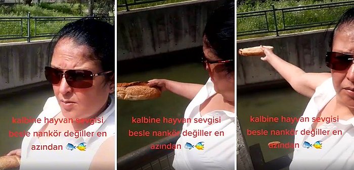 'Kalbine Hayvan Sevgisi Besle Nankör Değiller En Azından' Diyerek Balıklara Bütün Ekmek Atan Kadın