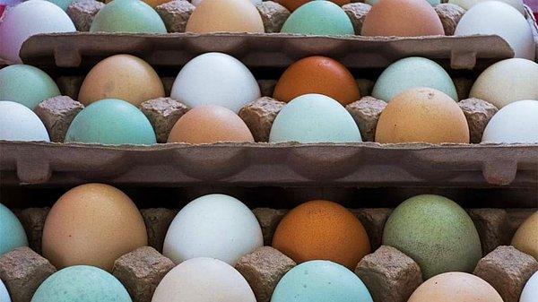 Cevap oldukça basittir. Tavukların cinsine göre yumurtaların rengi değişir.