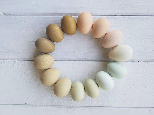 Değişik renklerdeki yumurtalar arasındaki tek gerçek fark kabuktaki pigmenttir.