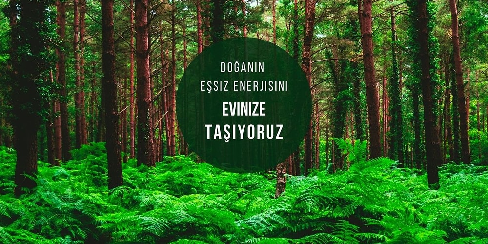 Yapaylığını Belli Etmeyen Evinizi Ormana Çevirip İçinizi Açacak En Şık Dekoratif Çiçekler