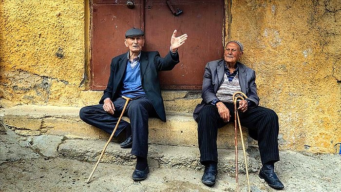 Ağaçlandırma Seferberliğinin Kahramanı İki Kardeş Eserleri Ormanla Gurur Duyuyor