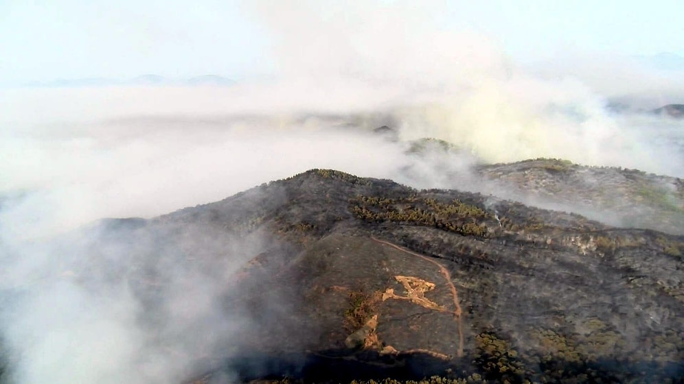 Ormancıların Hektar Oyunu: Kayıtlardan Gizledikleri Ağaçlarla Milyonluk Vurgun Yaptılar!
