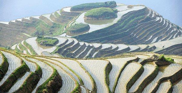 14. Yuanyang Pirinç Terasları / Çin