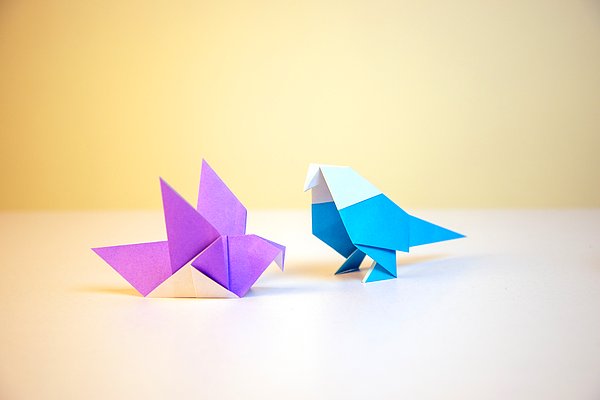 7. Origami yapın.