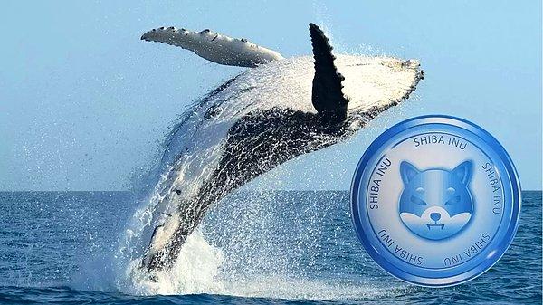 Ayrıca iki Ethereum balinası yüklü miktarda SHIB satın aldı.