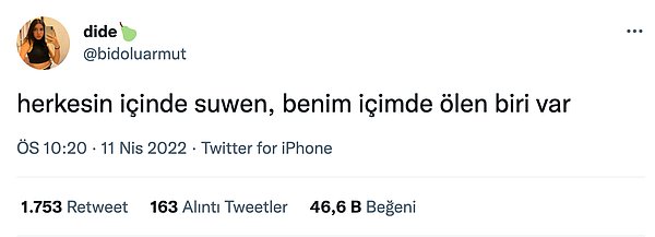 8. Bu akımın son tweeti olsun artık!