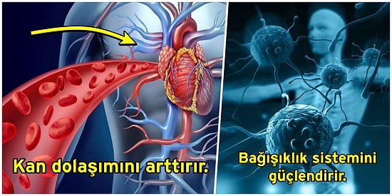 Soğuk Su ile Duş Alırsanız Vücudunuzda Ne Gibi Değişimler Olur?