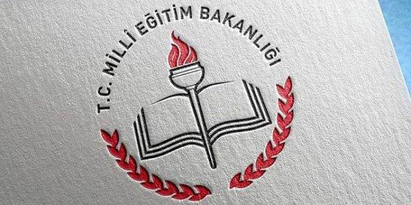 Yeni Türk Okulu nedir?