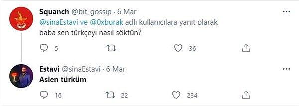 Sina Estavi, tweeti satın aldığı sırada kendisinin Türk asıllı olduğunu söylemişti.