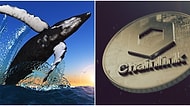 Chainlink (LINK), Balinalar Tarafından En Çok Satın Alınan Shiba Inu'yu Geride Bıraktı: Fiyatı Arttı!