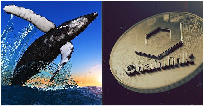 Chainlink (LINK), Balinalar Tarafından En Çok Satın Alınan Shiba Inu'yu Geride Bıraktı: Fiyatı Arttı!