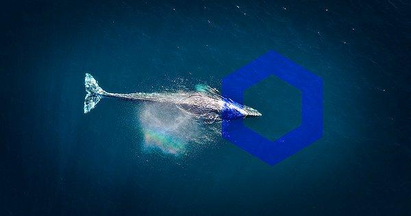 Ethereum blok zincirinde en iyi 100 yatırımcı arasında 10.sırada yer alan balina, 135.989 Chainlink satın almış.