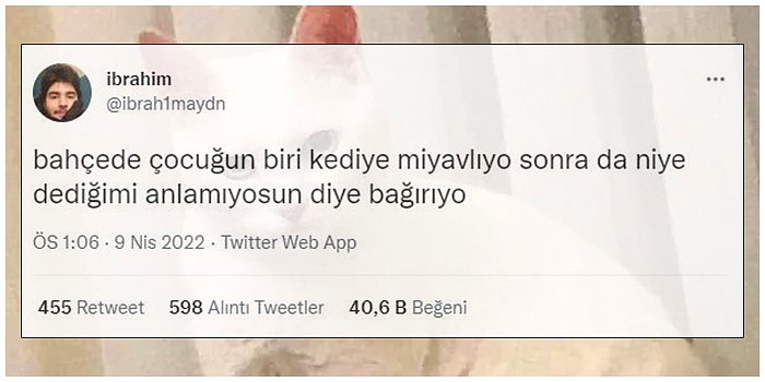 Yaşadıkları Komik Olayları Tweet’leyerek Sizin de Yüzünüzü Güldürüp Gününüzü Kurtaracak 19 Kişi