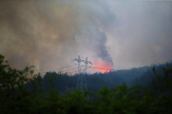 Hatay'da Ormanlık Alanda Yangın