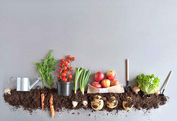 2. Daha organik bir bitki besleyici için kompost yapın!