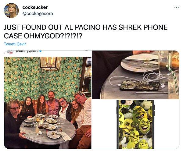 9. "Az önce Al Pacino'nun Shrekli telefon kılıfı olduğunu keşfettim."