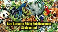 Bize Burcunu Söyle Ruh Hayvanını Söyleyelim!