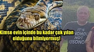 Evinde Kobra, Kara Mamba ve Çıngıraklı Yılan da Dahil Olmak Üzere 124 Farklı Yılan Besleyen Adam Ölü Bulundu!